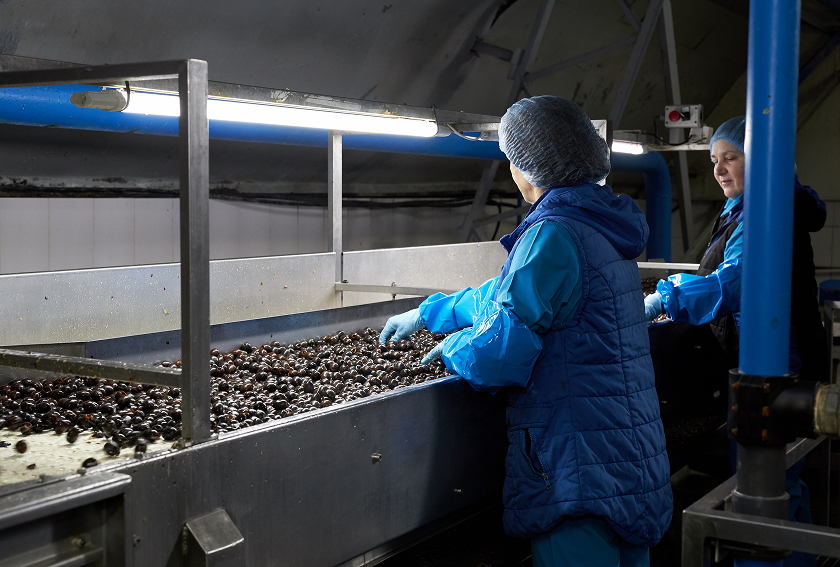 Изображение слайда